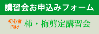 柿・梅剪定講習会