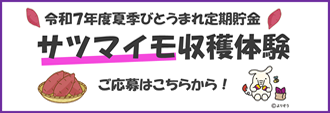 令和７年度びとうまれ「サツマイモ収穫体験」
