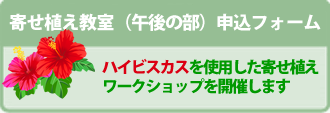 「ハイビスカス寄せ植え教室」（午後の部）
