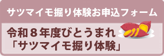 びとうまれ定期貯金　サツマイモ掘り体験