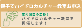 親子でハイドロカルチャー教室