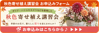 寄せ植え講習会
