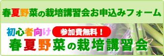 初心者向け春夏野菜栽培講習会