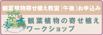 「観葉植物寄せ植え教室」（午後の部）