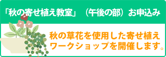 秋の寄せ植え教室（午後の部）