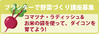 プランターで野菜づくり講座（秋冬）