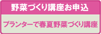 プランターで野菜づくり（春夏野菜）