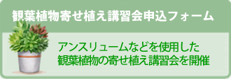 観葉植物寄せ植え講習会