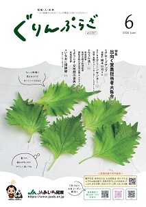 2026年度